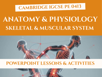IGCSE PE Anatomy & Physiology: Skeletal & Muscular System Lessons | Updated 2026 | 0413