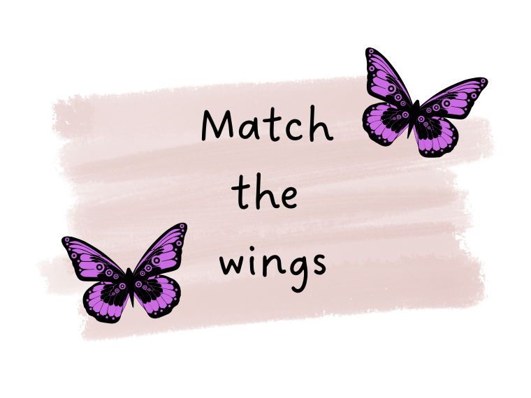 Match the wings