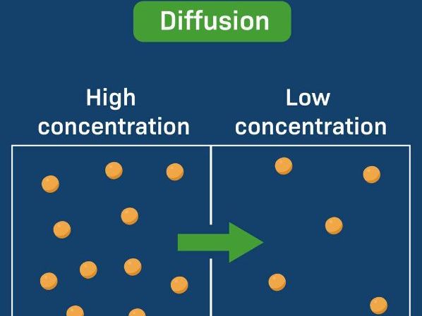 Moving in and out of cells (Diffusion)