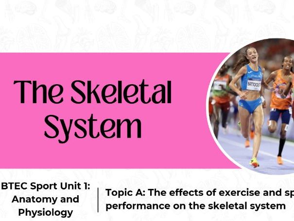 BTEC Sport Unit 1- Skeletal System