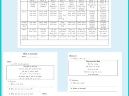 Phonics Reading Comprehension Homework Bundle | Phases 2, 3 & 4 | 8-Week Differentiated Pack