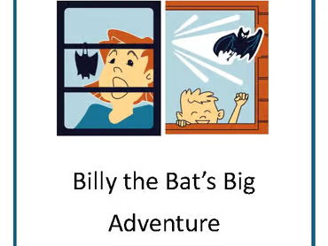 Billy the Bat's Big Adventure - a fun story & activity for early years
