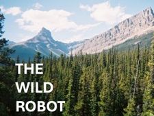 The Wild Robot book study