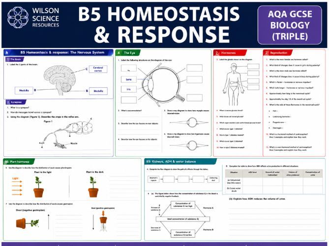 AQA GCSE Biology Paper 2: B5 Homeostasis and Response: Revision Mats & Answers (Triple)
