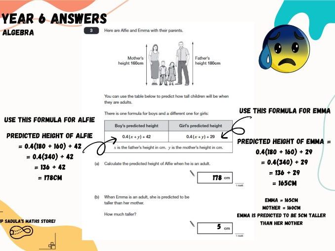 Thoughts on the 2022 key stage sats mathematics tests 46 off