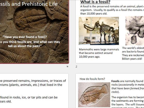Fossils and Prehistoric life