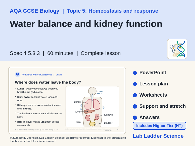 B5-10 Kidneys & Water Balance: AQA GCSE Biology