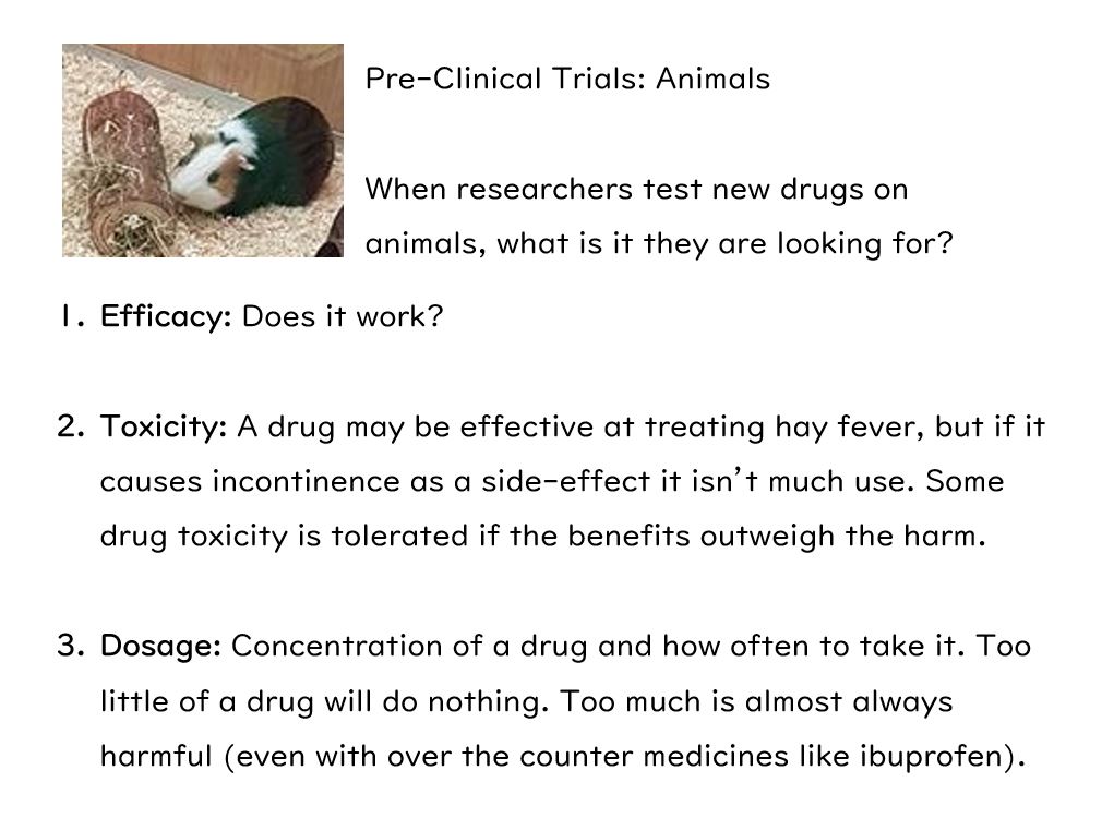 Drugs Slides and Worksheet (GCSE Biology AQA) Teaching Resources