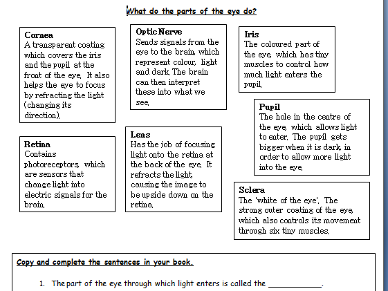 how does light travel ks2 worksheet