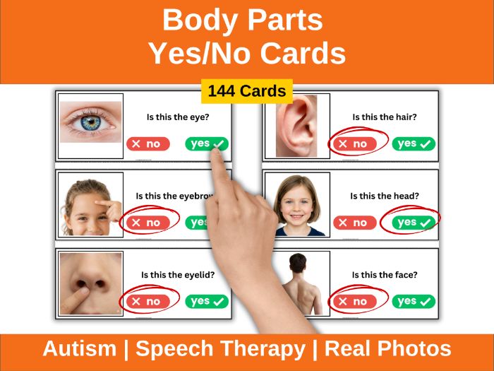 Body Parts Yes/No Cards Autism