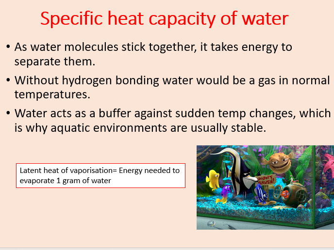 AQA A level Biology Topic 1. Water (3.1.7)