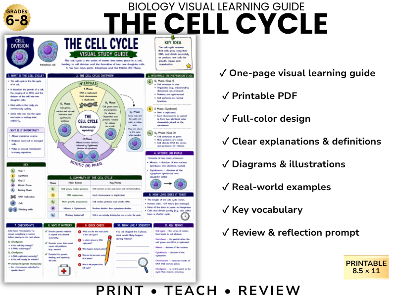 THE CELL CYCLE | Biology Visual Learning Guide | Grade 8 & Middle School Science