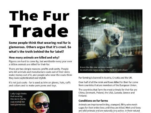 The Fur Trade Factsheet