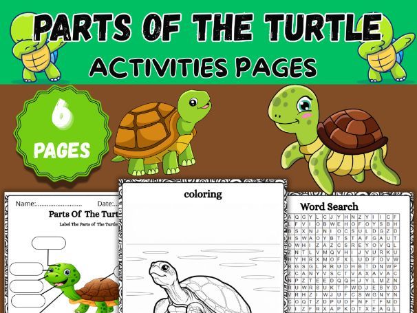 Parts of a Turtle Activities| Science Worksheet
