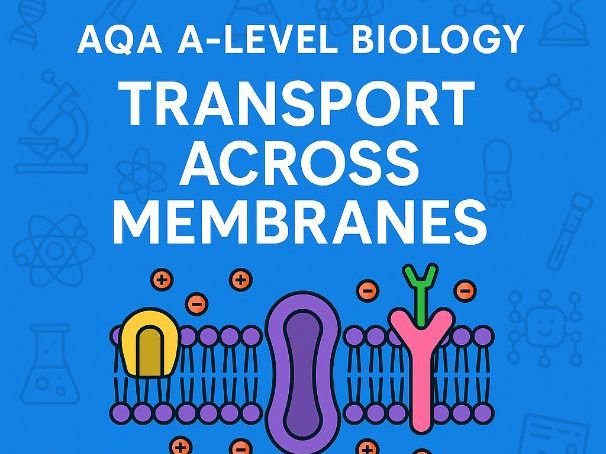 A-level Biology: Transport Across Membranes