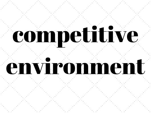 1.2.4 The competitive environment GCSE Business Studies