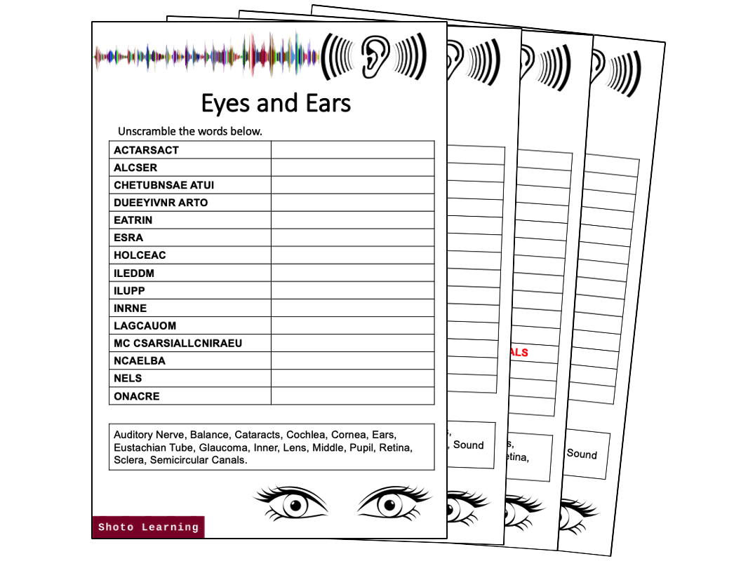 Eyes and Ears Science Activity Bundle Word Finder Scramble Eye Ear