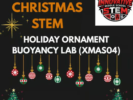 Holiday Ornament Density STEM Lab XMAS04