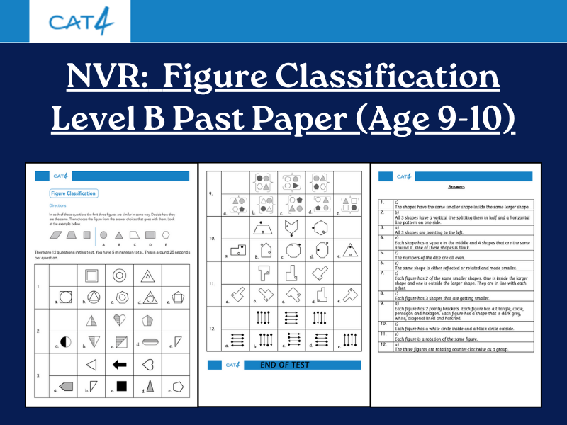 CAT4 Level B Non-Verbal Reasoning: Figure Classification Mock Test | 12 Questions & Answers