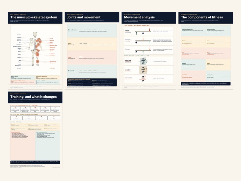 GCSE Physical Education — Classroom Posters | 5 Print-Ready A3 Posters | Every Exam Board