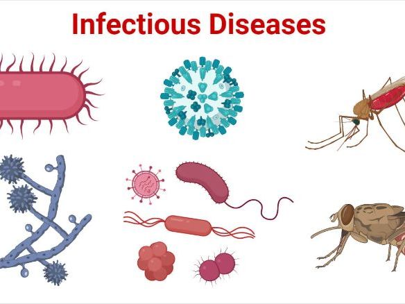 AS Level Biology - Infectious Diseases