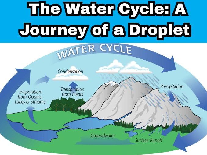 The Water Cycle: A Journey of a Droplet