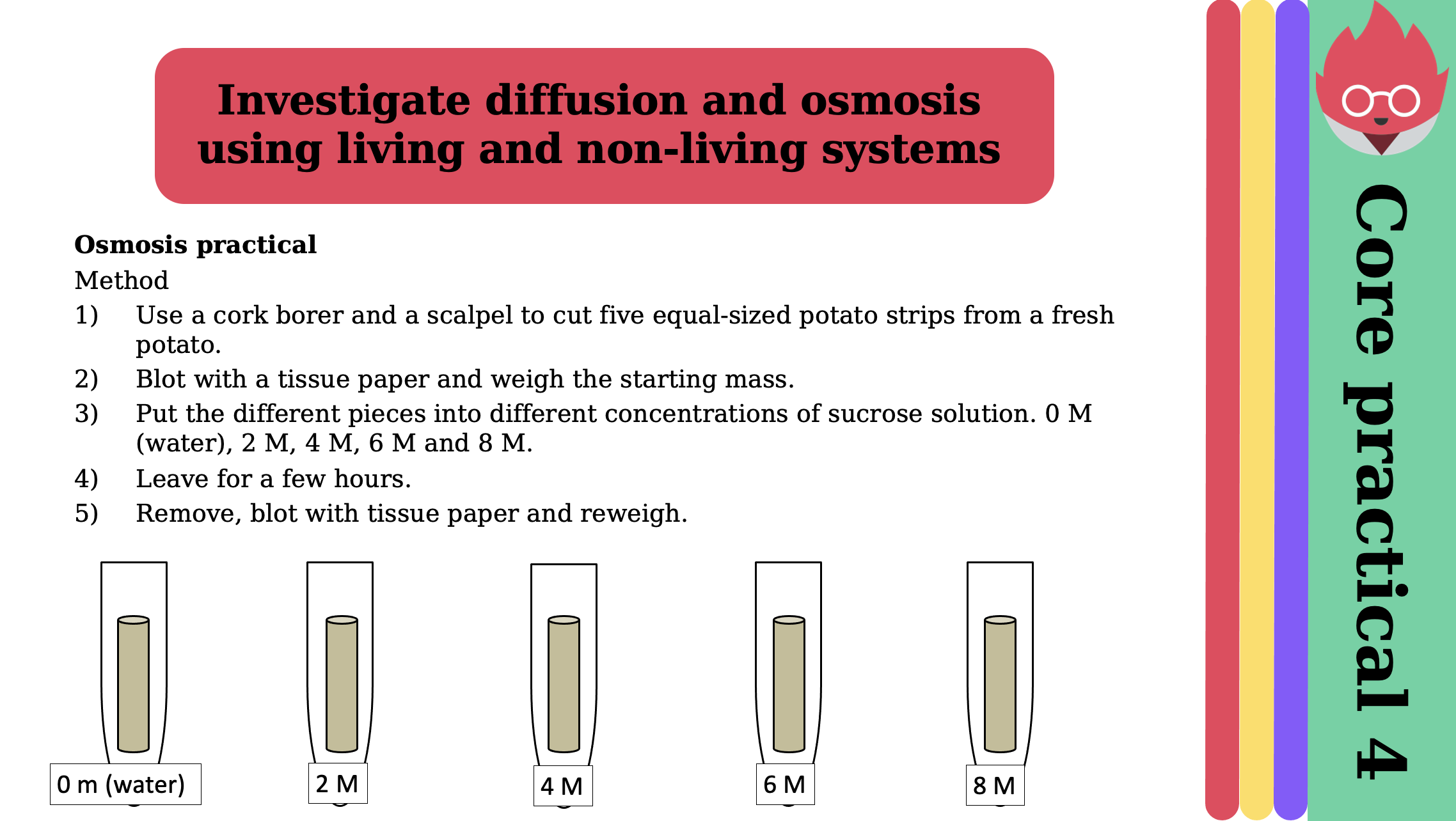 IGCSE Edexcel Biology (91) Diffusion, Osmosis and Active transport