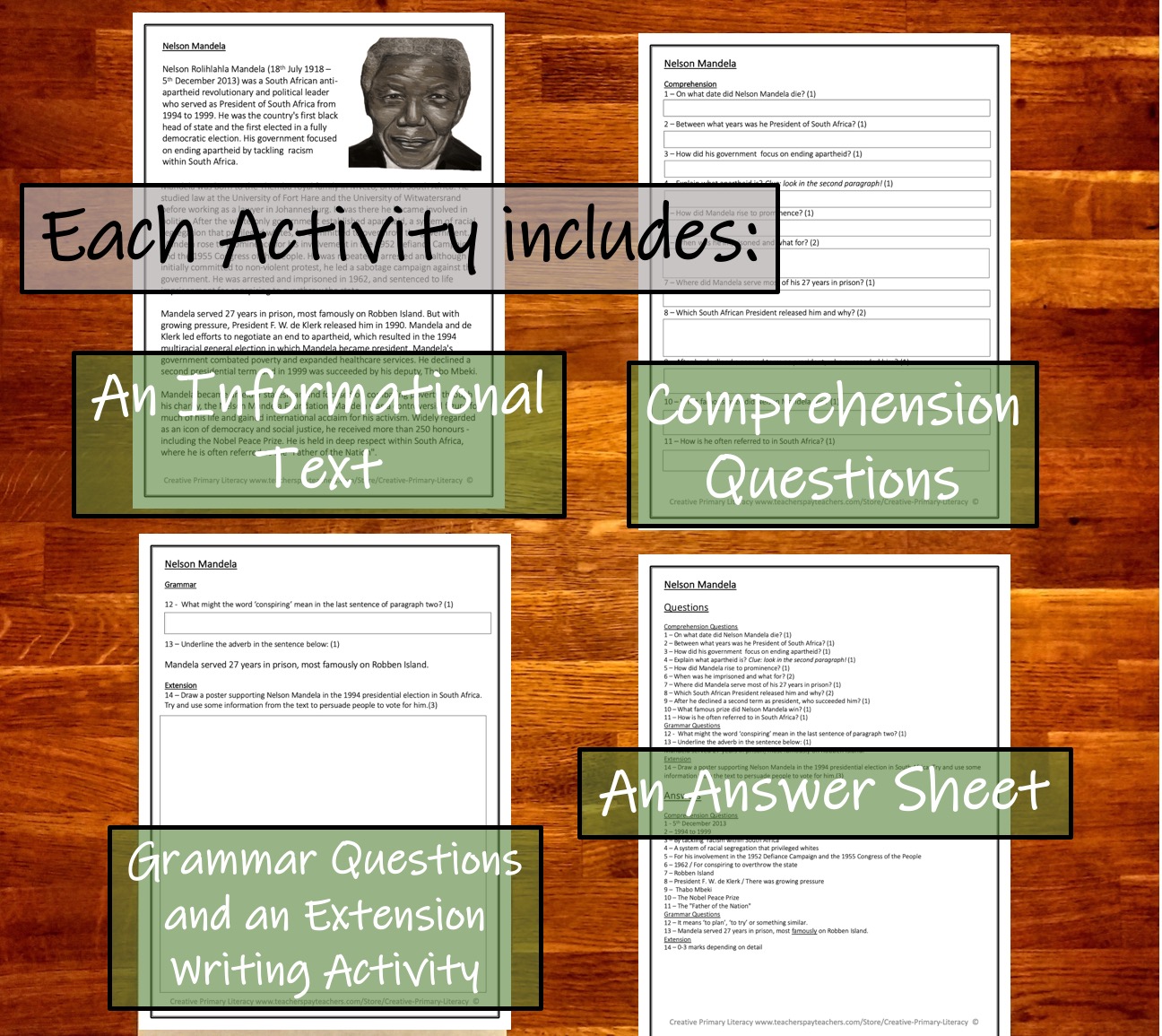 Biography of nelson mandela essay picture