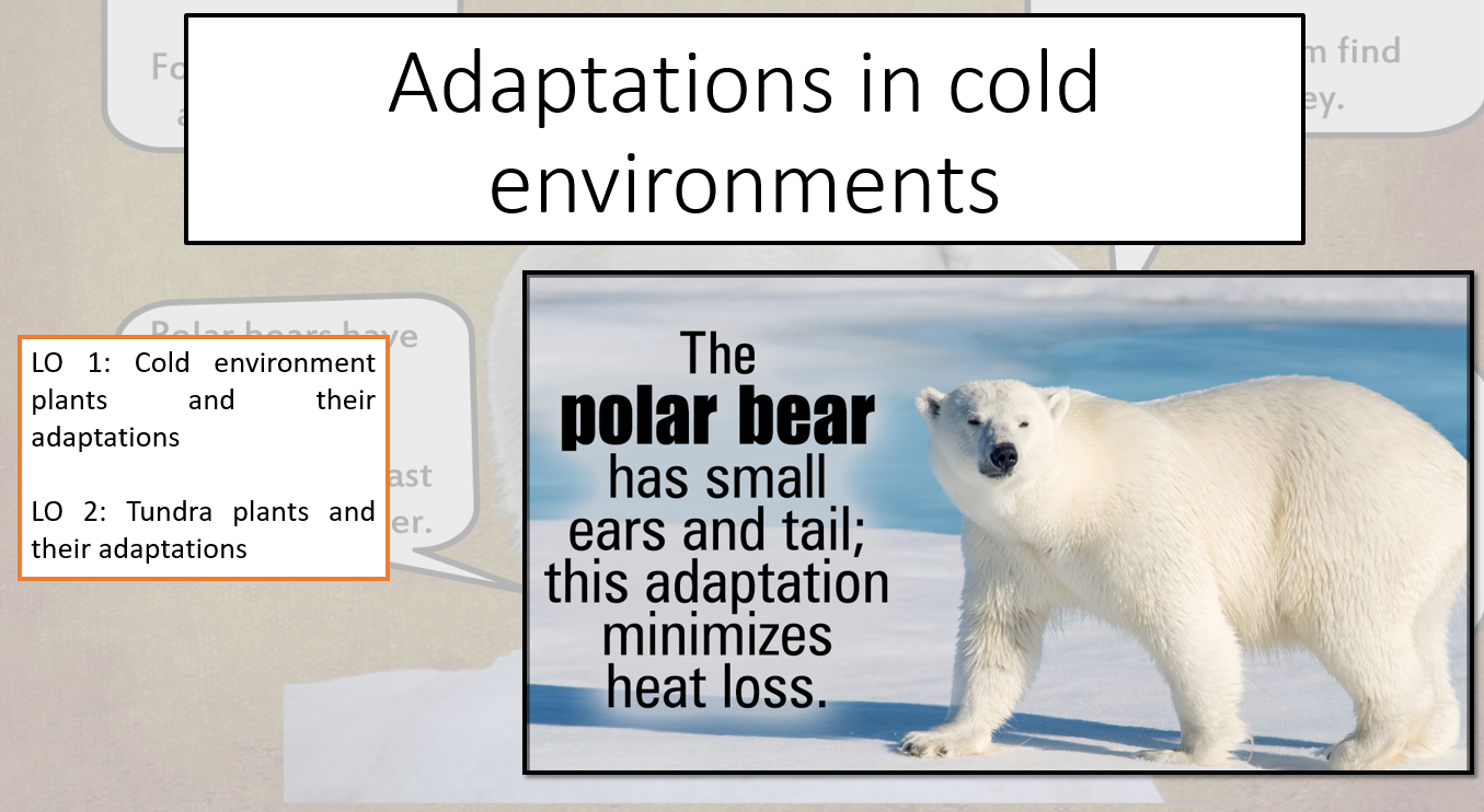 How Do Humans Occupy Cold Environments? – BOVS