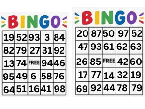 Bingo Numbers 1-100