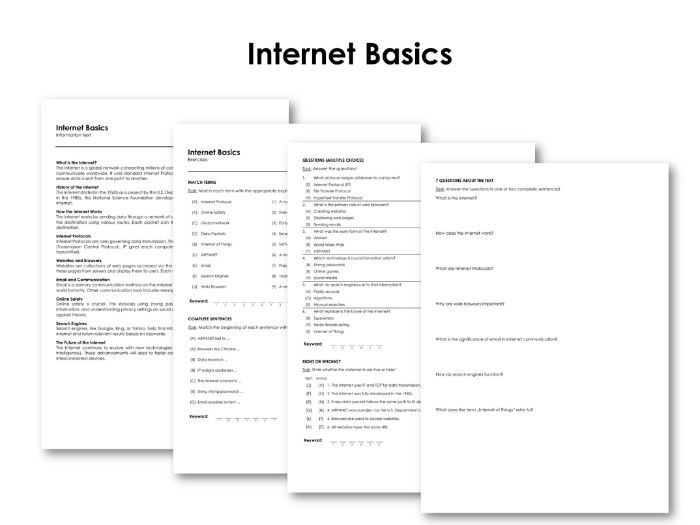Internet Basics | Teaching Resources