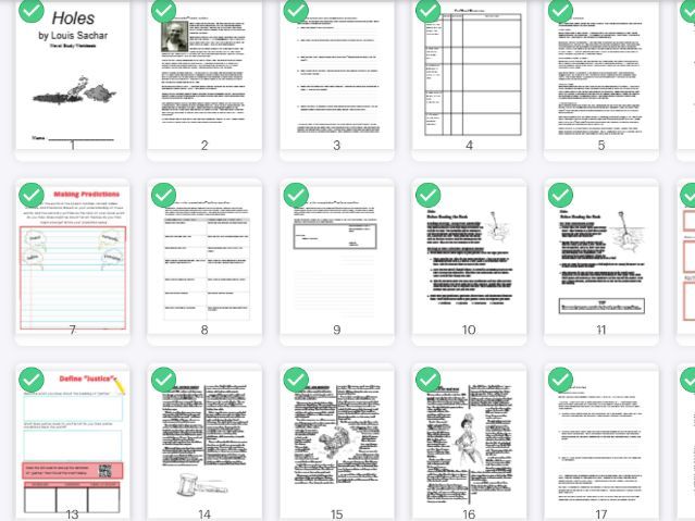 Holes - Novel Study Student Booklet