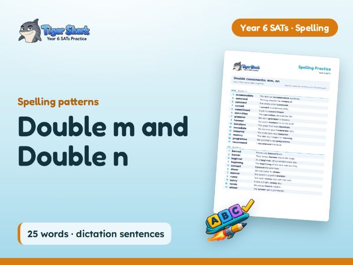 Double m and Double n: Y6 Spelling Patterns