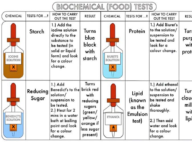 Complete A-Level Biology Lesson: Biochemical 91����ts & Practical Endorsement (OCR PAG 9)