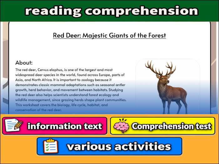 Red Deer: Majestic Giants of the Forest - zoology & Activities