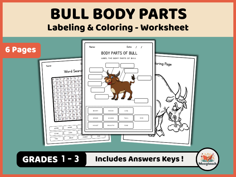 Bull Body Parts | Mammal Anatomy | Labeling & Coloring | Farm Animals | Science Worksheet | KS1 | KS