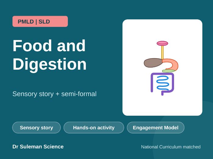 Food and Digestion Sensory Story PMLD SLD