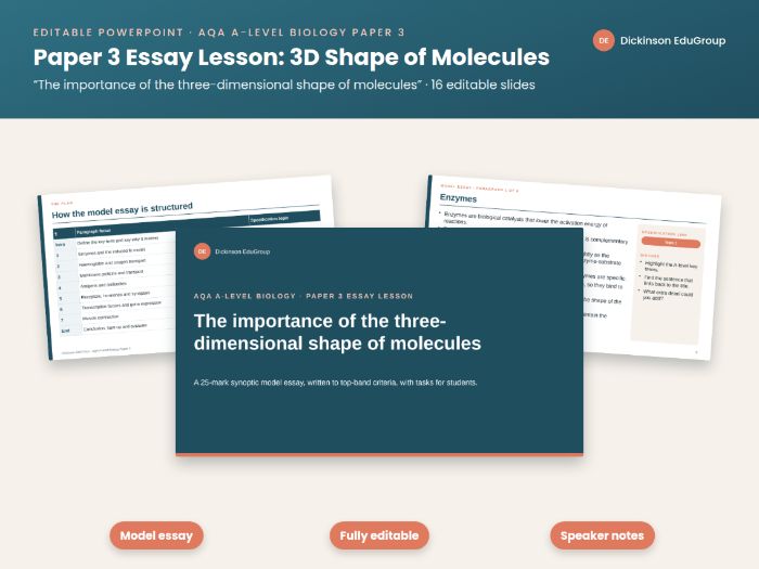 AQA Biology Essay: 3D Shape of Molecules
