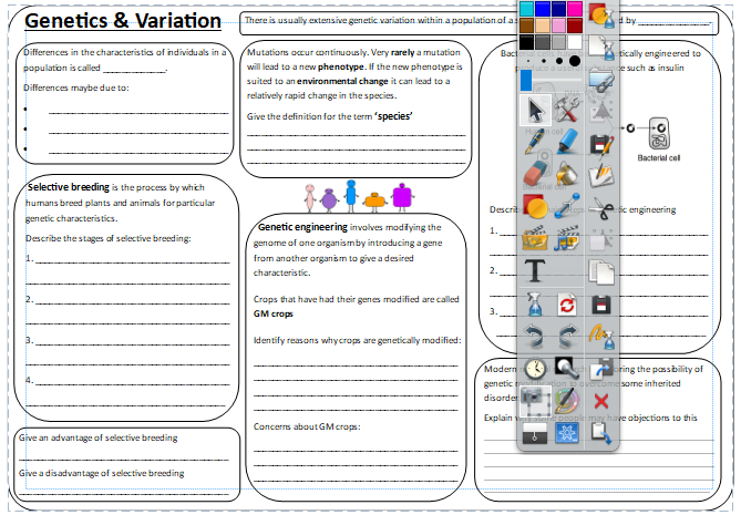 AQA Trilogy Combined Biology P2 Revision Sheets - Higher | Teaching ...