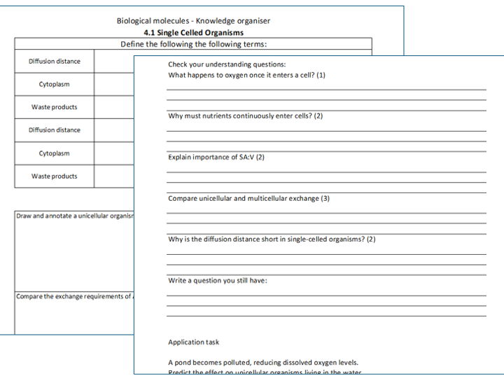 FREE - AQA A Level Biology Gas Exchange Flipped Learning
