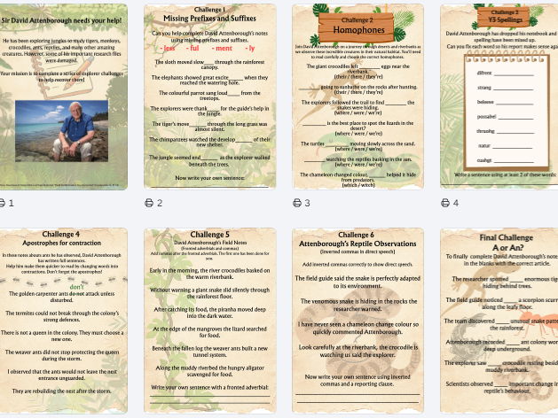 Themed Year 3 SPaG Pack - David Attenborough Themed