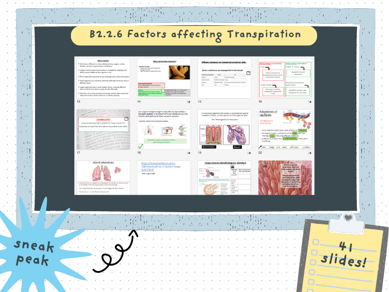 Exchange and Transport - OCR GCSE Biology - Topic B2.2 - Gateway A ...