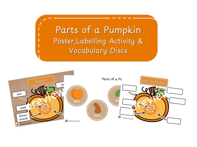 Parts of a Pumpkin Poster, Labelling Activity & Vocabulary Discs