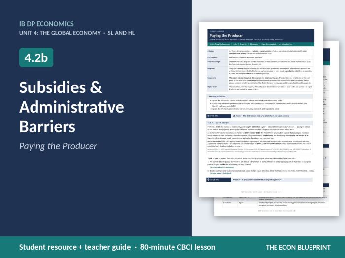 IB Economics 4.2b Subsidies & Administrative Barriers | CBCI