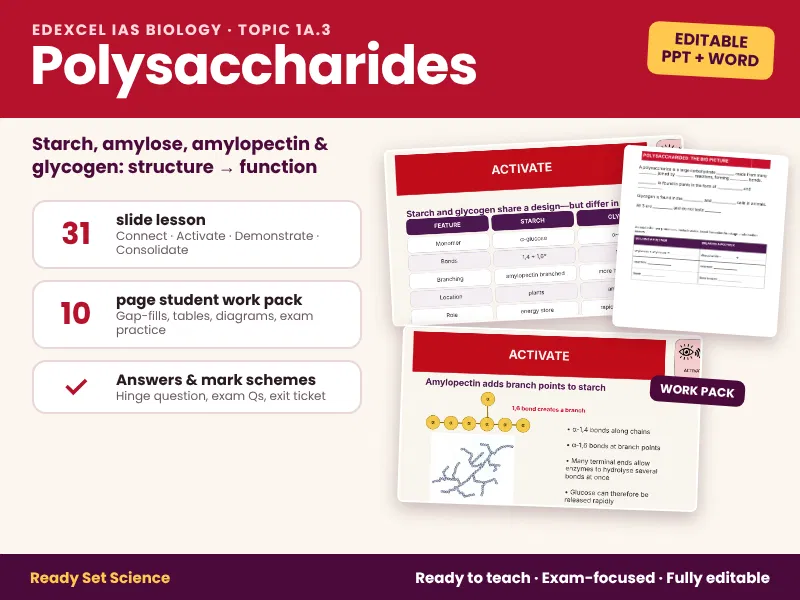 1A.3 Polysaccarides | Edexcel IAL Biology | Full Lesson + Work Pack