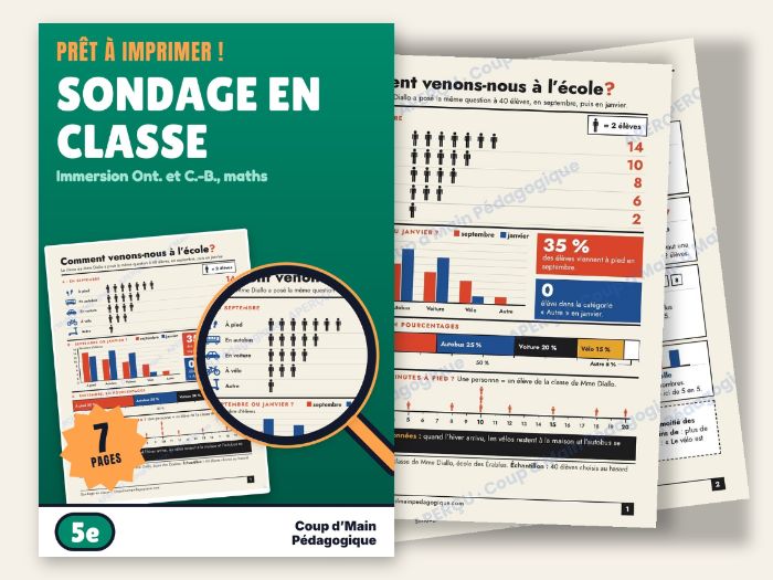 French Immersion Grade 5 Data and Infographics | Sondage en classe