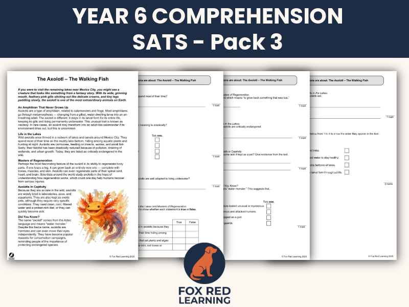 Year 6 SATs Reading Comprehension Pack 3 | 7 Extracts with SATs-Style Questions