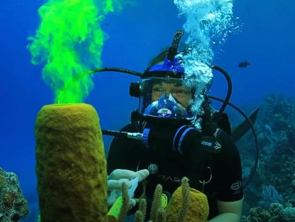 Welcome to the Reef! Introduction to the Coral Reefs