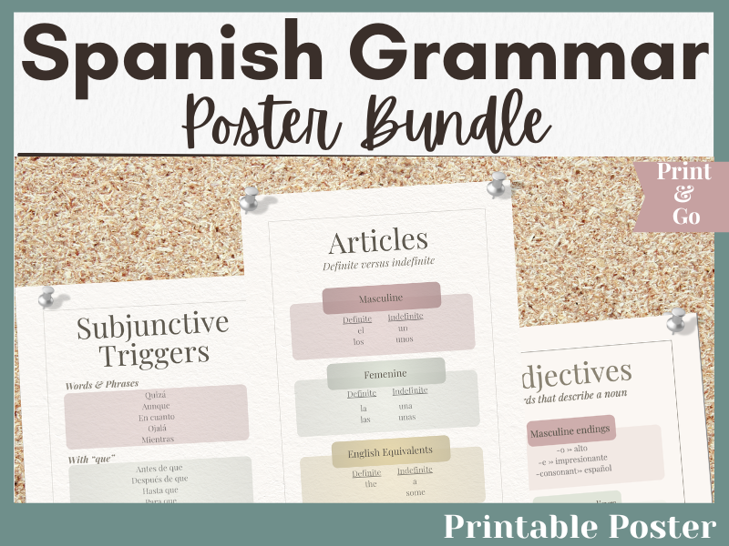 Spanish Grammar Posters: Adjectives, Articles, and Subjunctive Trigger