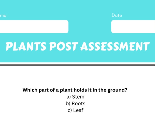 Year 1 Science assessment